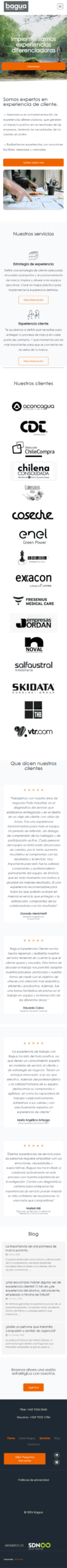Bagua en celular